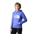 Kids Drew Peak Hoodie Print