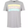 T-shirt Take You Home Gris/Multi