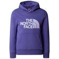 Kids Drew Peak Hoodie TNF Light Grey Heather