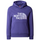 Kids Drew Peak Hoodie Geyser Aqua